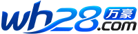 28官方预测数据